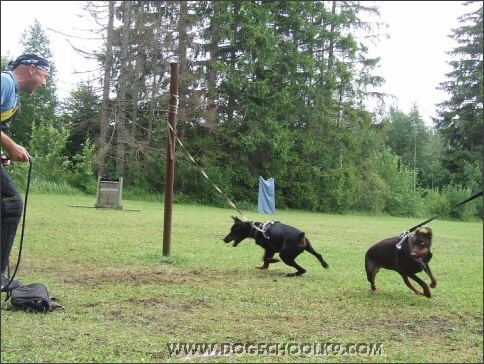 Summer training camp in Estonia 2007